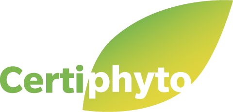 certificat-individuel_ss_fond
