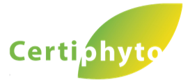 certyphito1_sf